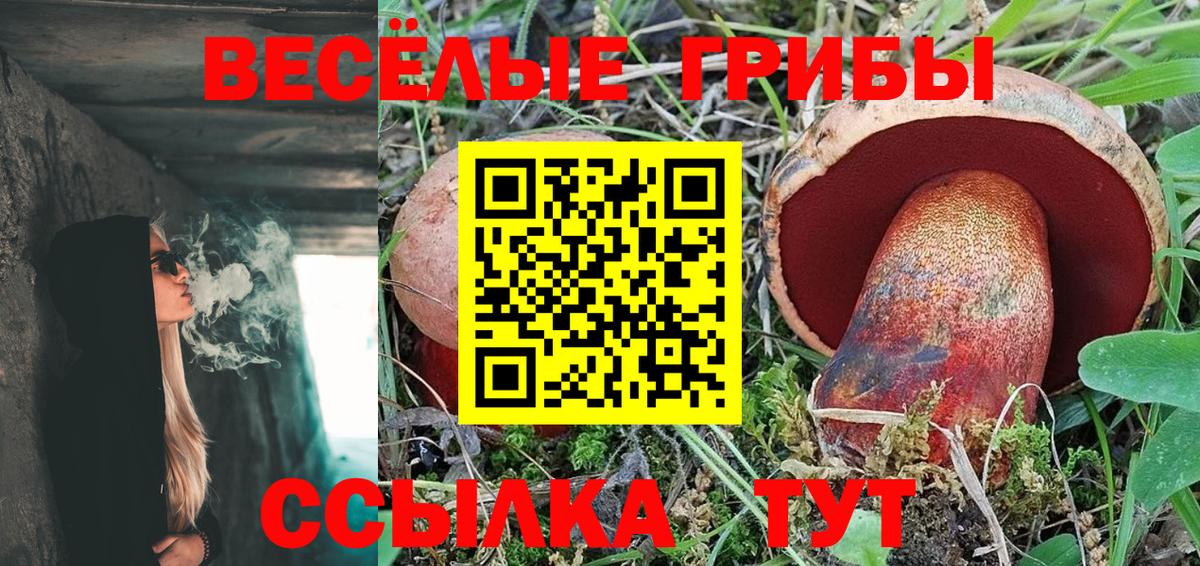 Семилуки  Псилоцибиновые грибы MAGIC MUSHROOMS  Вход с VPN  Галлюциногенные грибы прущие грибы 